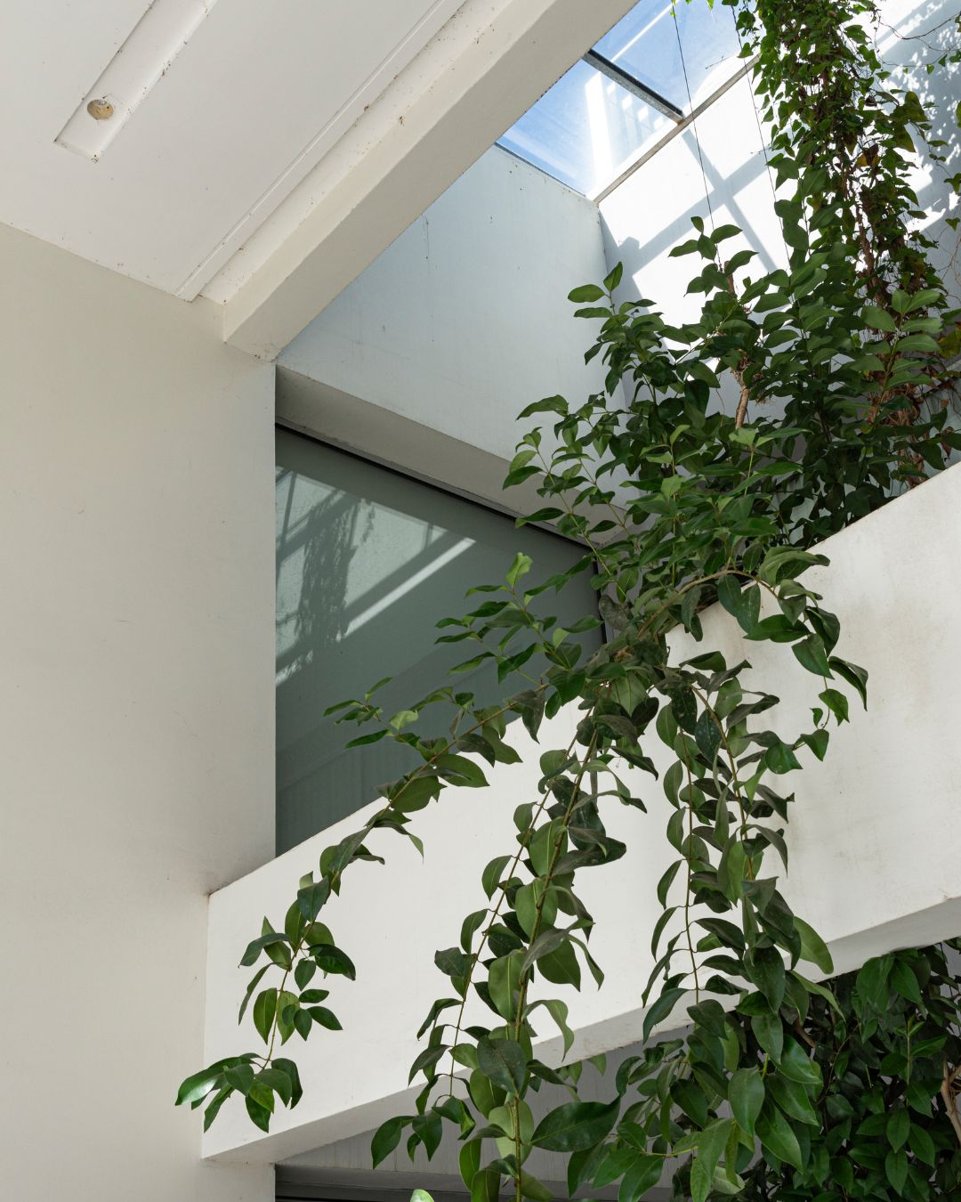 arquitecto la plata 11